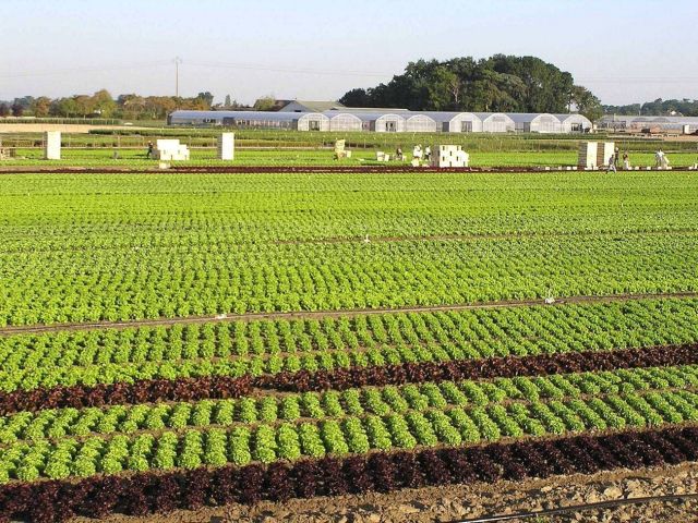Sainte-Gemmes-sur-Loire souhaite développer l’agriculture bio