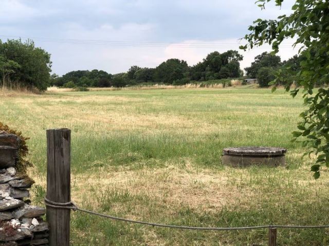 Angers. Bientôt une forêt à l’endroit de l’ancien projet de rocade sud