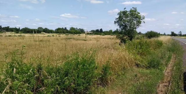 Sainte-Gemmes-sur-Loire. Le projet de réserve d’eau dévoilé