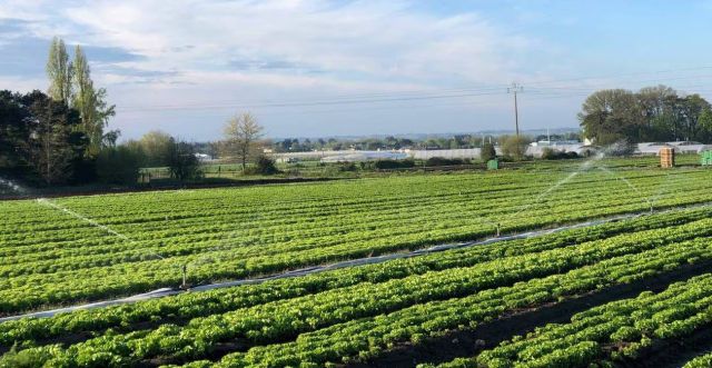 Sainte-Gemmes-sur-Loire. Une association soutient le projet de retenue d’eau