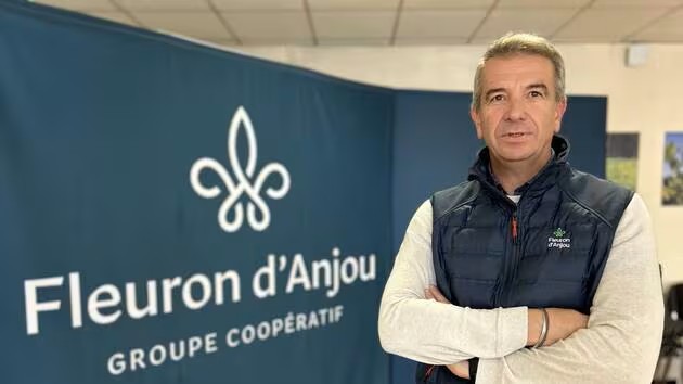 Fleuron d'Anjou se cherche un modèle