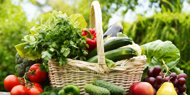 Venez cueillir vos fruits et légumes à La Roseraie 