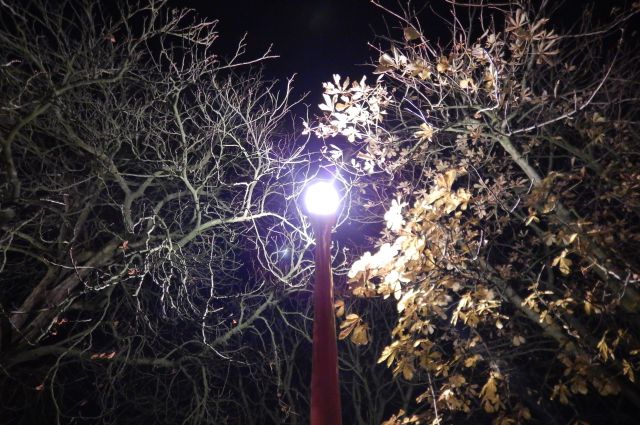 Pollution lumineuse : « Les lampadaires et les étoiles font-ils bon ménage ? »