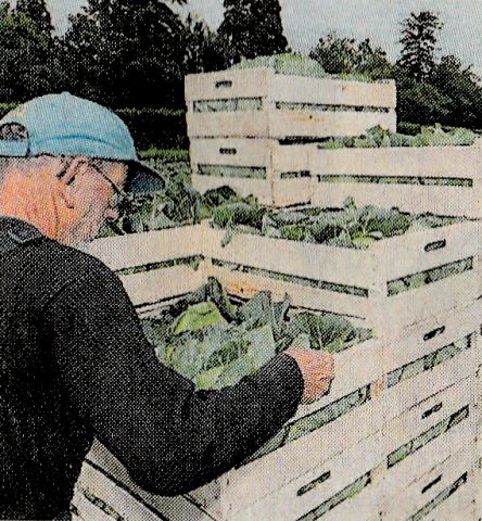 Horticulture : « la jouer collectif » !