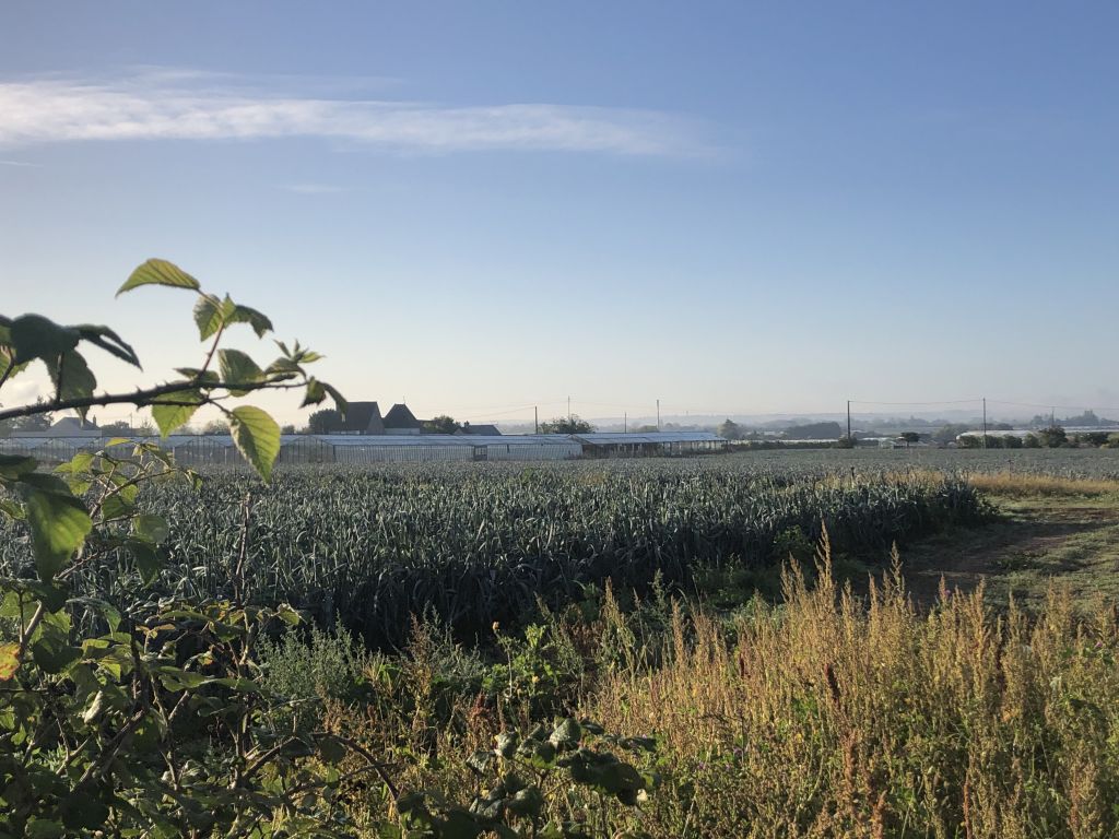 Projet Alimentaire Territorial