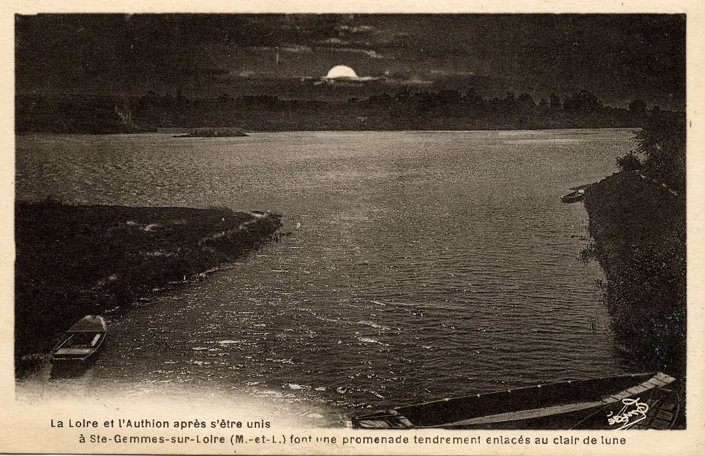 Carte Postale : La Loire et l'Authion après s'être unis
