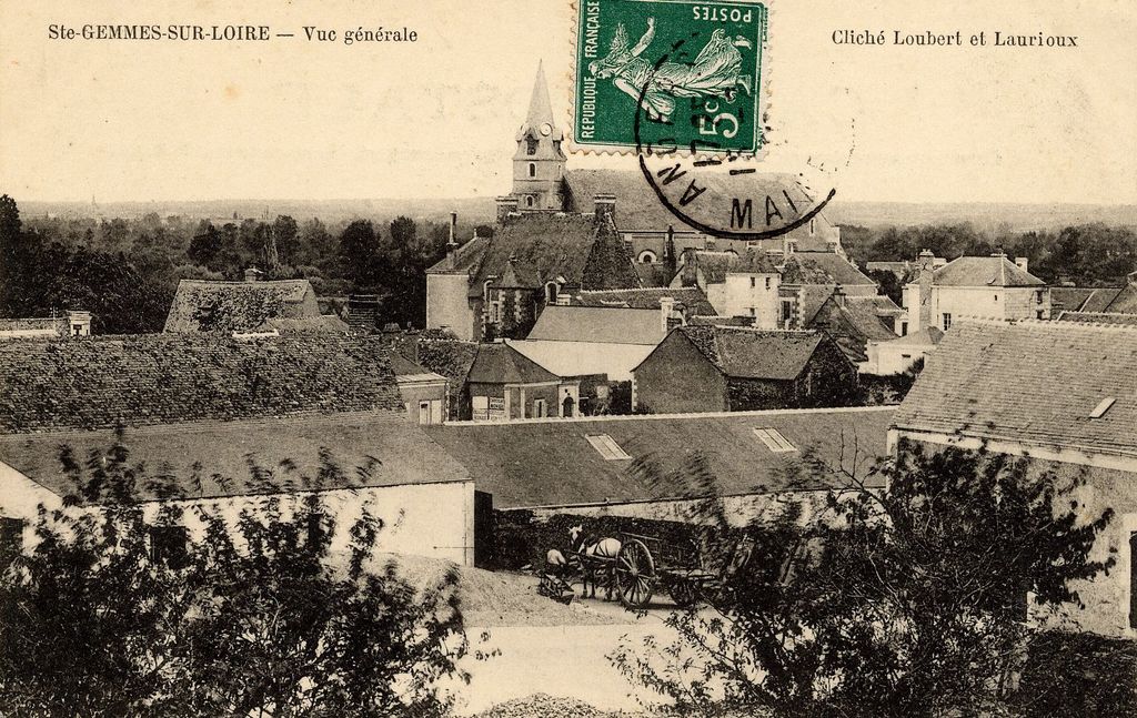 Carte Postale : Ste Gemmes sur Loire - Vue générale